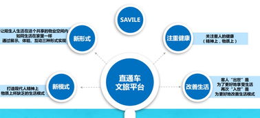 萨维尔酒店集团十一大业务版块深度解读 信息服务业务